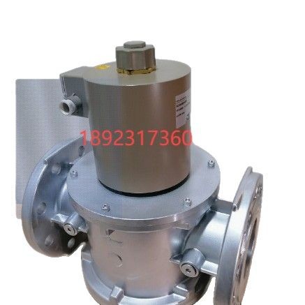 Shi Neng Solenoid Valve Sg50Rq/220 Sg40Rq/220 Sg32Rq/220 Sg25Rq/220