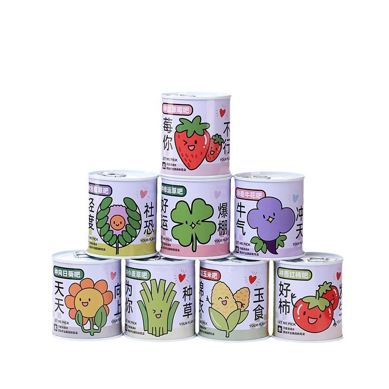 Children's Cans, Plant Pots, Indoor Desktop Ornaments, Mini Flower and Green Plant Planting Cans, Small Potted Plants Wholesale
