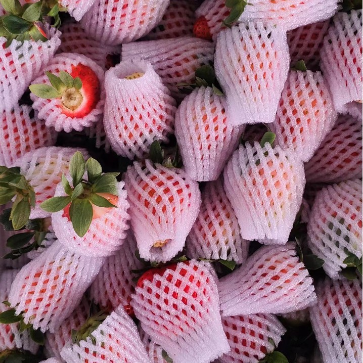 Freshly Picked Summer Strawberries from Yunnan, Perfect for Candied Fruit Cakes, Baking, and Juicing, with Free Shipping