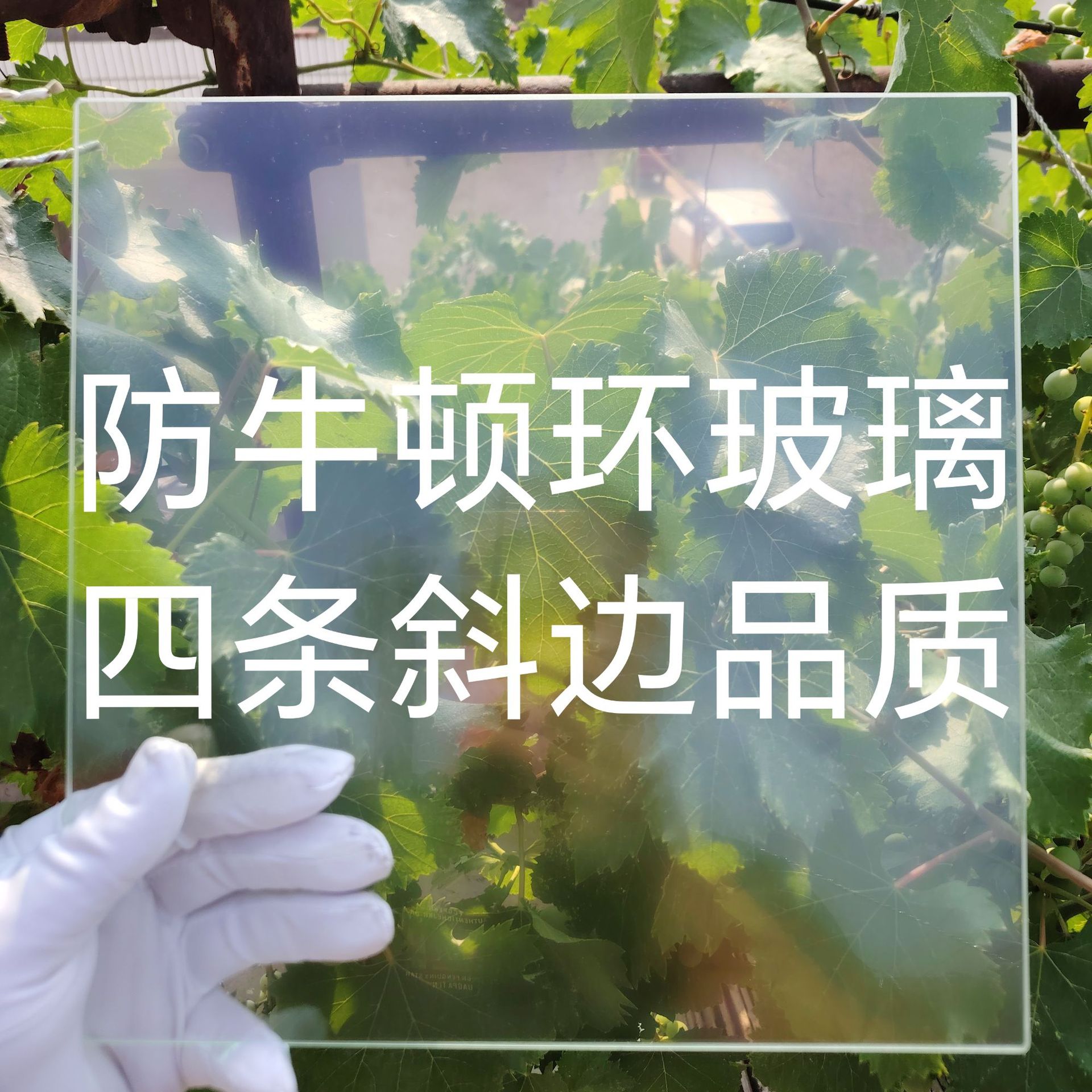 Source Manufacturer of Photoelectric Glass Anti-Newton Ring Universal Scanner Instrument for Large Format Picture Frame Frosted Processing