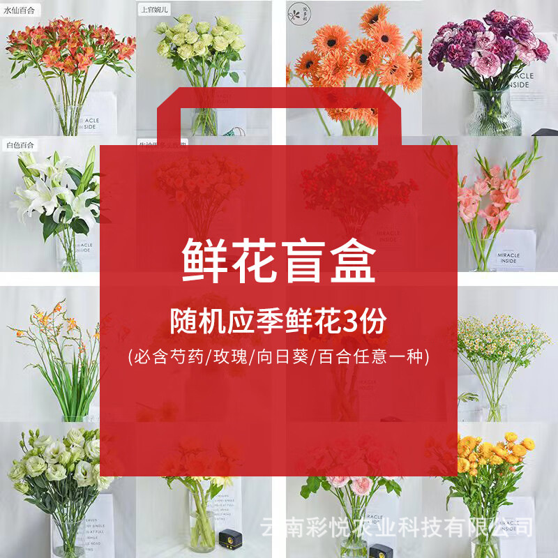 [Buy 1 Flower Blind Box for 9.9 Yuan] Yue Colorful Ab Grade Flower Blind Box Base Straight-Cut Fresh-Cut Combination Flowers