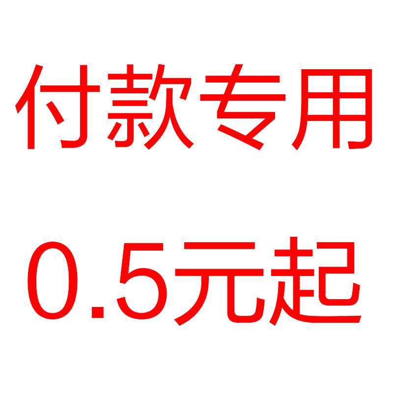 [Special Link for Payment]