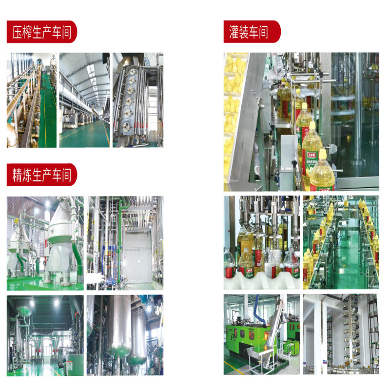 Shengfu 900ml Small Barrel of Strong-Flavored Rapeseed Oil for Commercial and Household Use, Whole Box Gift Edible Oil, Wholesale from the Manufacturer