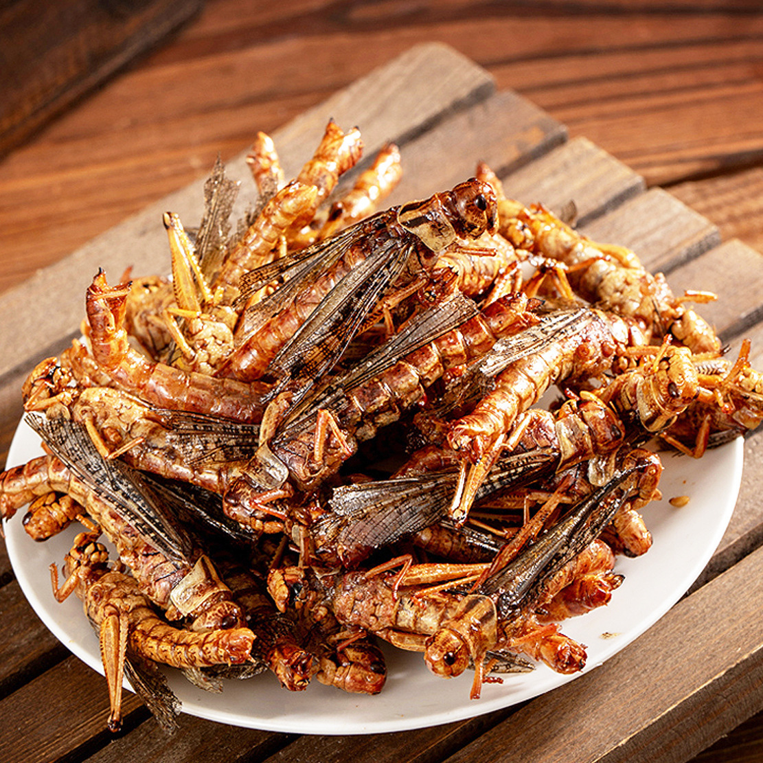 Shandong specialty fresh fried crispy spicy cumin grasshopper instant snacks crispy locust cooked food
