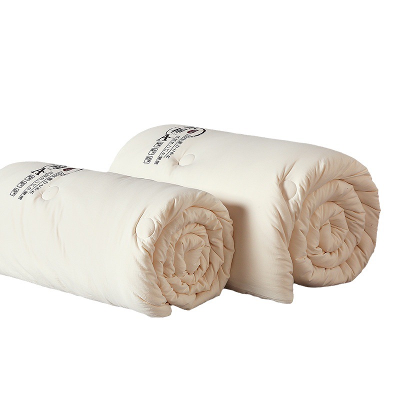 New Class A Raw Cotton Soybean Fiber Quilt Thickened Warm Spring Autumn Summer Quilt Single Double Activity Gift Winter Quilt