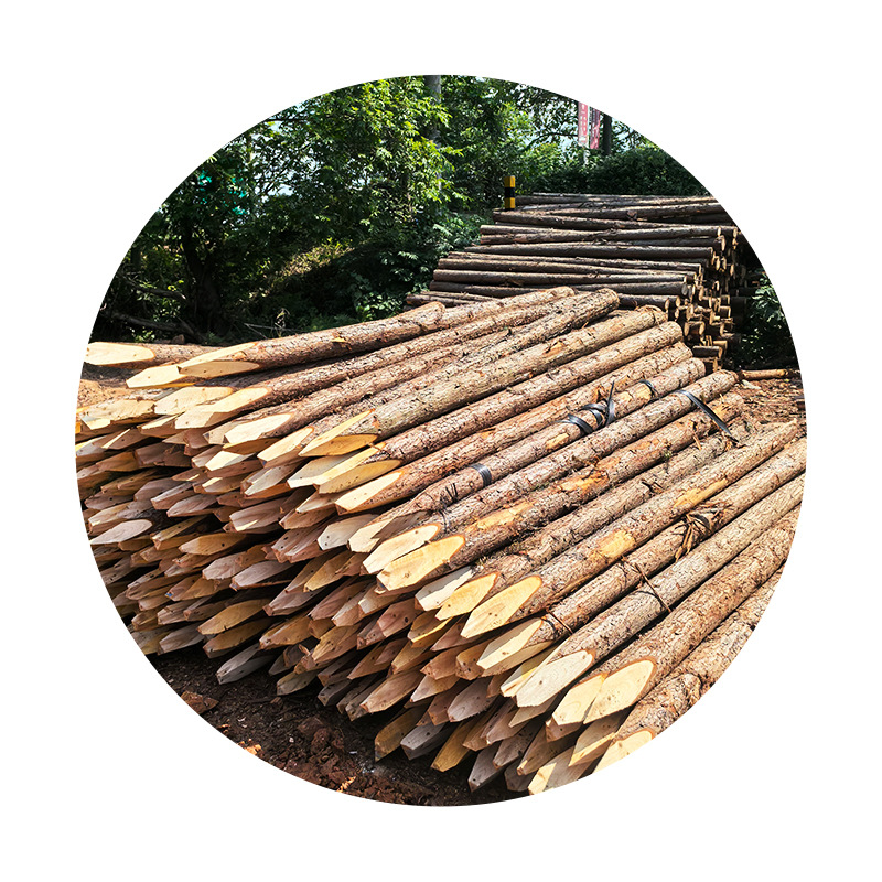 flood control timber pile river piling pine fir pile greening support rod construction river slope project flood control timber pile