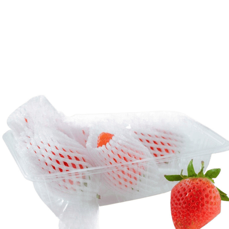 Fruit Net Bag Wholesale Loquat Apple Net Bag Shock-Proof Protection Egg Berry Anti-Collision Packaging Bagging Net