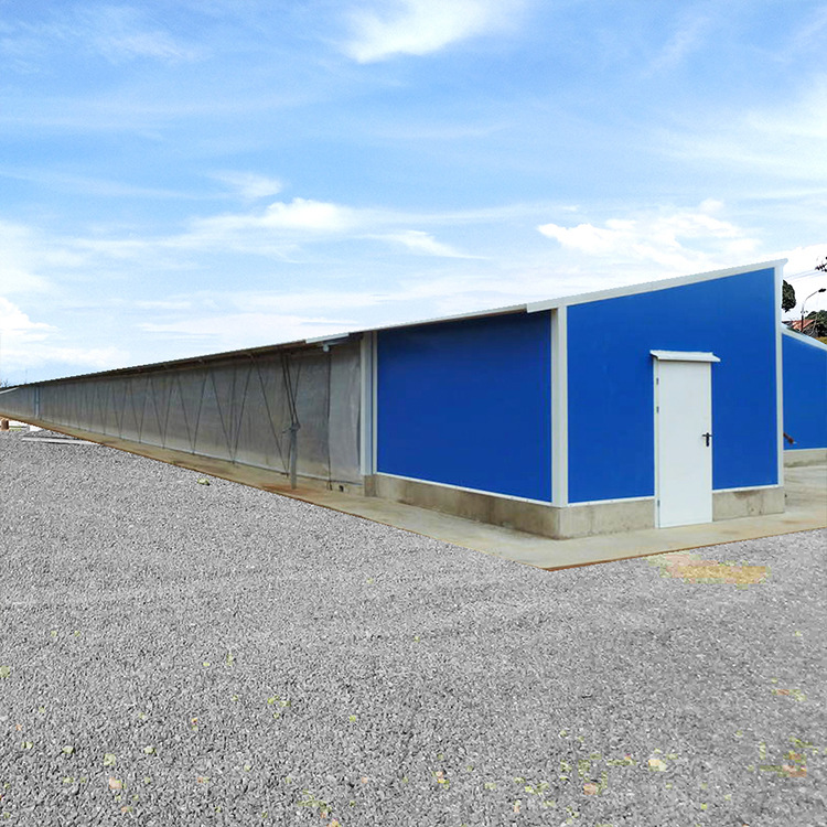 Легкие стальные конструкции с закрытой отрицательной давлением вентиляцией, полностью автоматизированный курятник