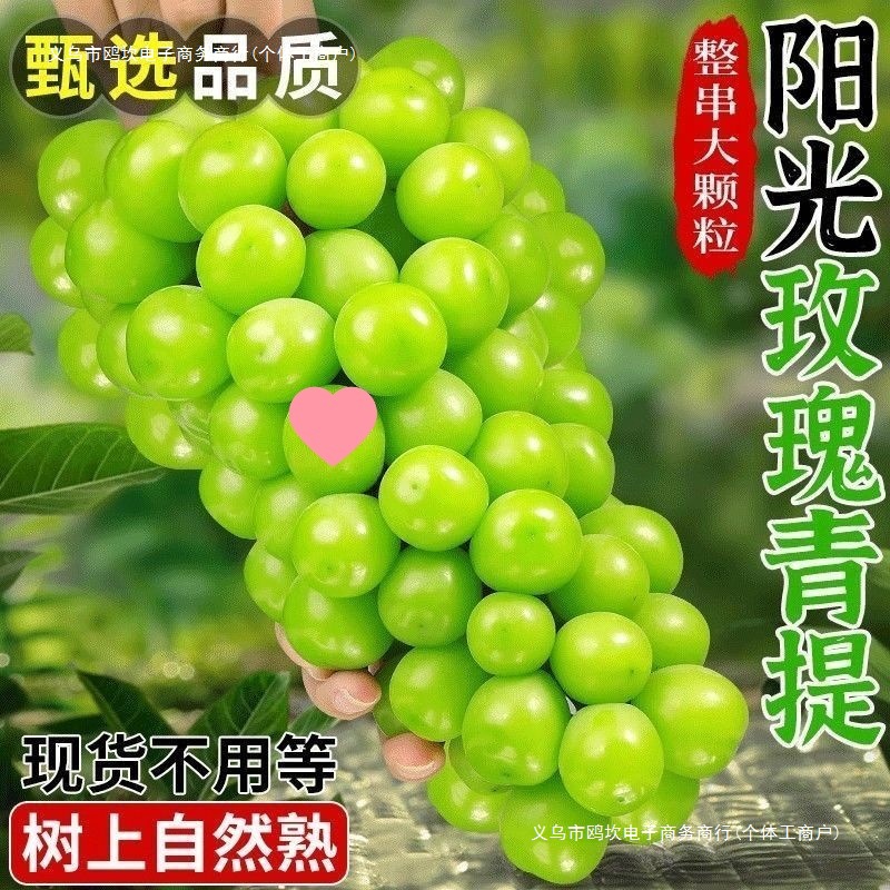Sunshine Rose Grape Qingwang Fresh Grape Granules Delivered Seedless Seasonal Fruit Free Shipping Wholesale Green Grapes