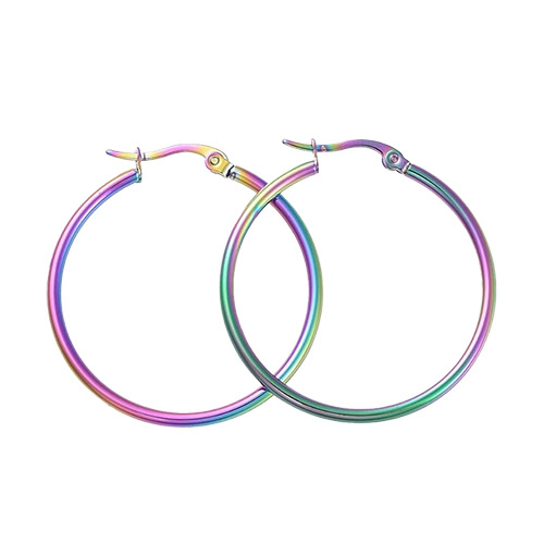 Classic Stainless Steel Hoop Earrings, Exaggerated High-End Titanium Steel European and American Earrings Buckle Jewelry