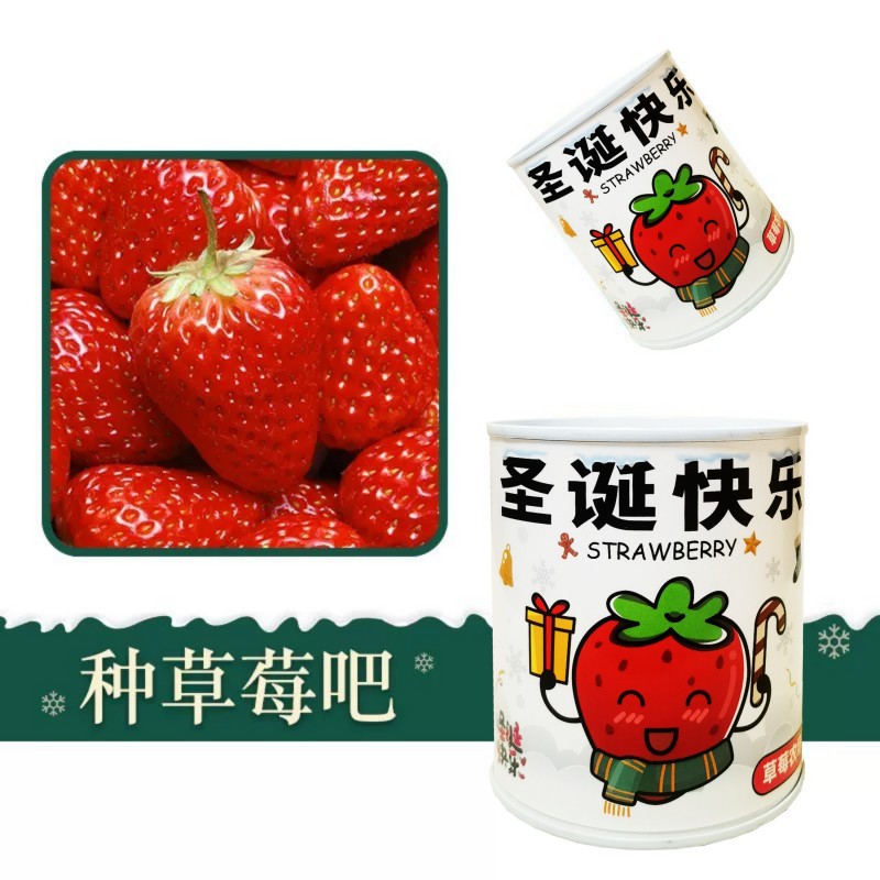 Planting Kidsren's Cans of Florals and Magic Beans, Creative Internet Celebrity Potted Plants, Mini Kindergarten Plants, Blind Boxes, Green Plant Cans