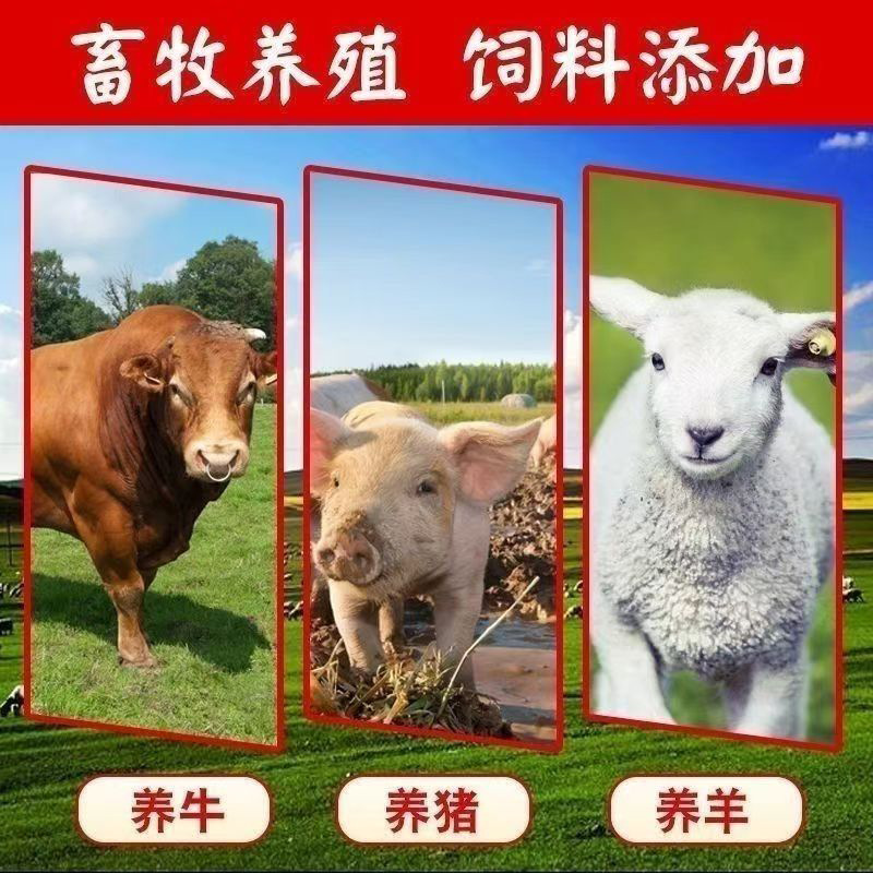 Factory Wholesale Magnesium Oxide, Poultry and Livestock Breeding, Ruminant Cattle and Sheep Feed Additive, Content 90% Magnesium Oxide