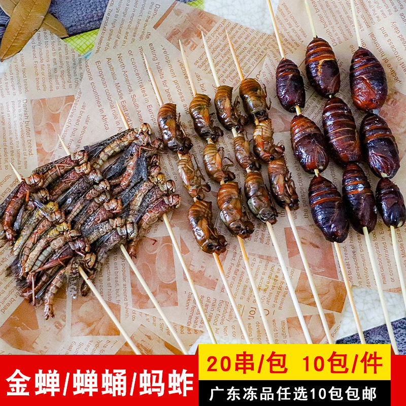 Избранные барбекю с насекомыми, жареные шнуры, коммерческие полуфабрикаты, 20 шнуров