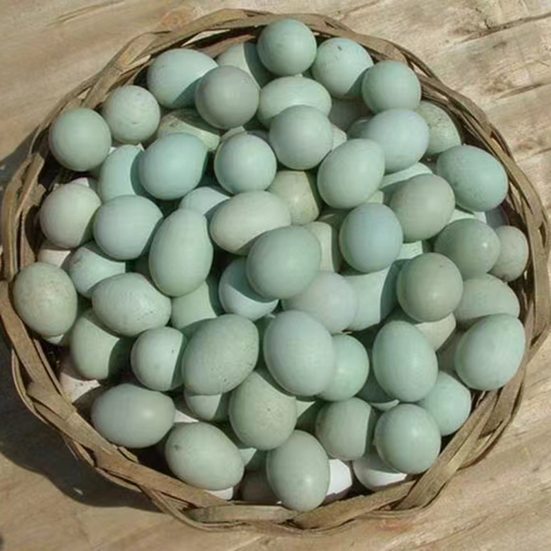 Free Inkjet Printing Green Shell Black Eggs Wholesale Farm Free Range Cordyceps Grain Eggs Origin Fresh Black Eggs