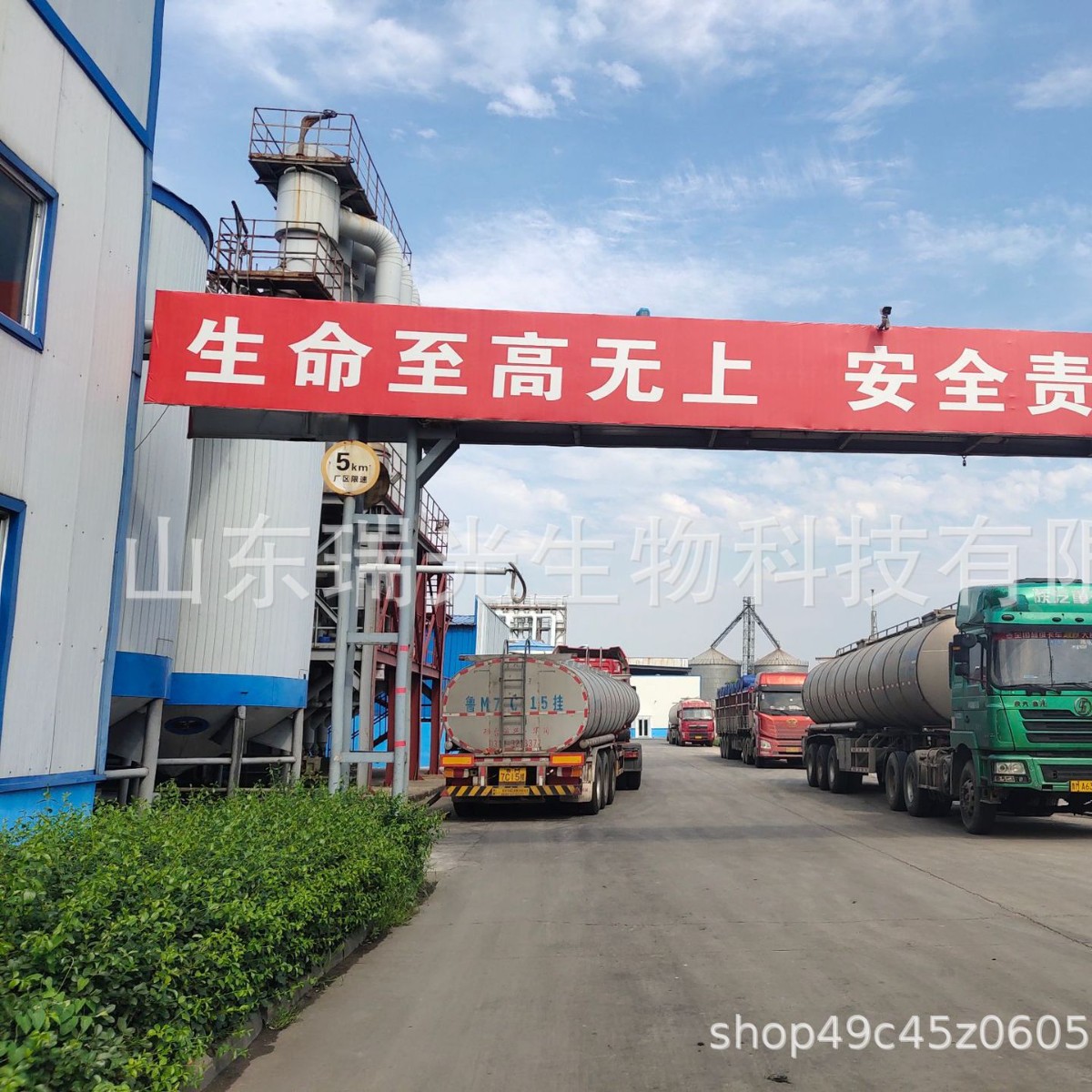 High maltose syrup production source factory factory M70-80 moisture retention high maltose content