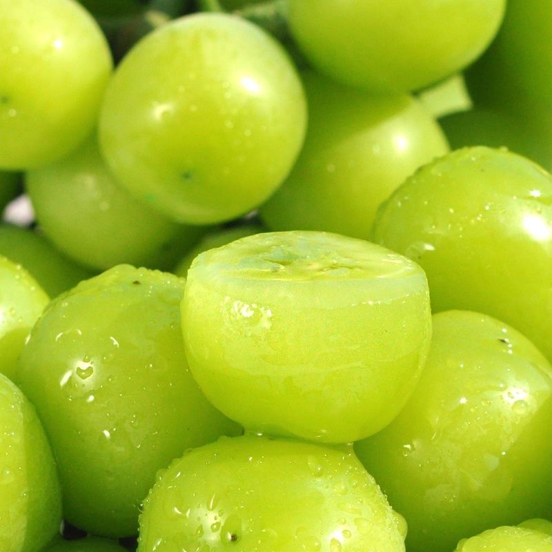 Authentic Sunshine Rose 2.5kg Whole Box of Fresh Seasonal Grapes for Pregnant Women Seasonal Fruit 1.5kg Wholesale Free Shipping 10 Qingwang