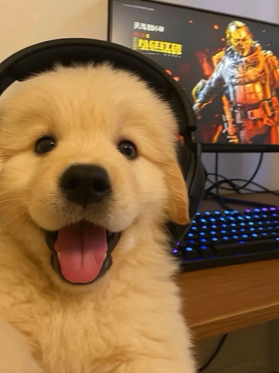 ——0705-6 Fashionable Outdoor Hiking Shoes for Men and Women, New Summer Style for 25 Years, Breathable, Deodorant and Shock-Absorbing