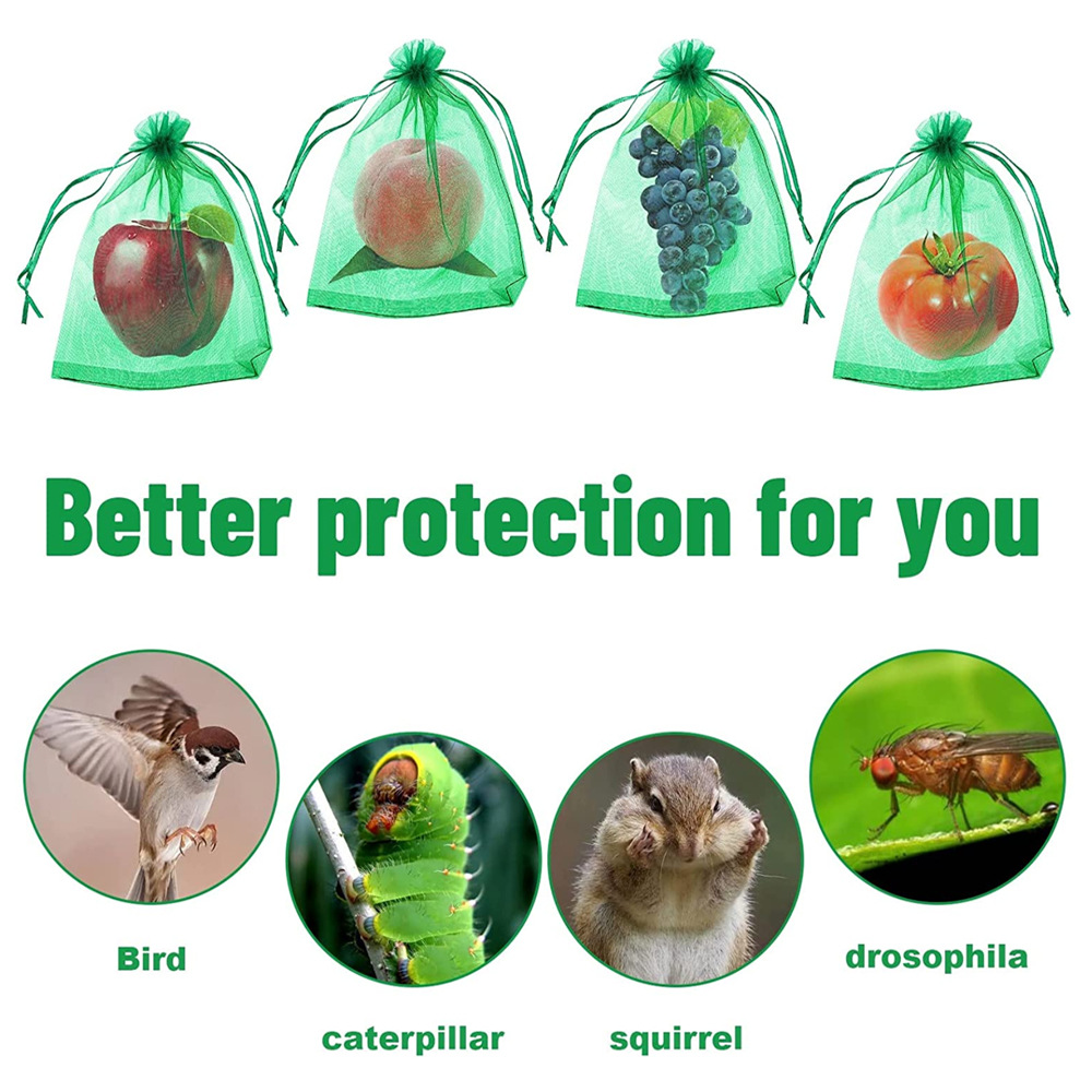 Amazon Fruit Protection Bag Fruit Grape Strawberry Insect-Proof and Bird-Proof Mesh Bag Fruit Bag