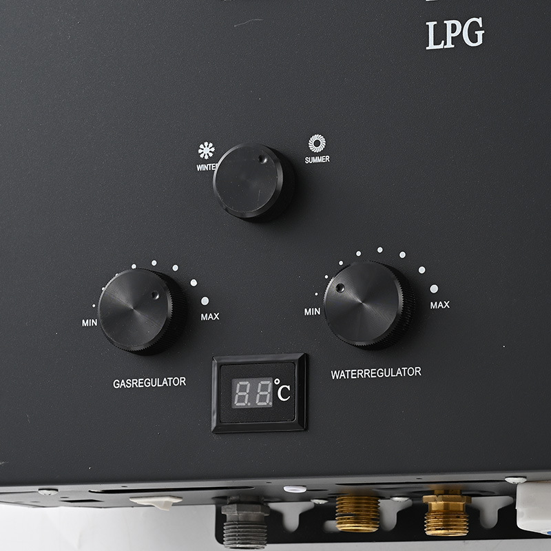 Household Gas Water Heater Manufacturer Customized 8L Instant Heating Constant Temperature Water Heater Bathroom Universal Natural Gas Water Heater