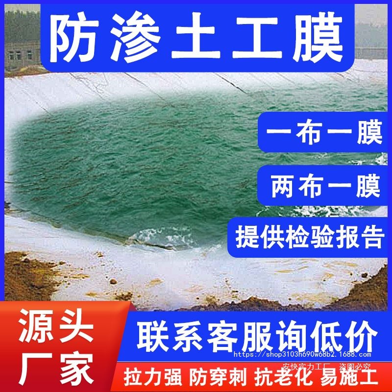 Composite Geomembrane Anti-Seepage and Moisture-Proof Reservoir Fish Pond Waterproof Slope Protection Special Hdpe Two Cloth One Film One Cloth One Film