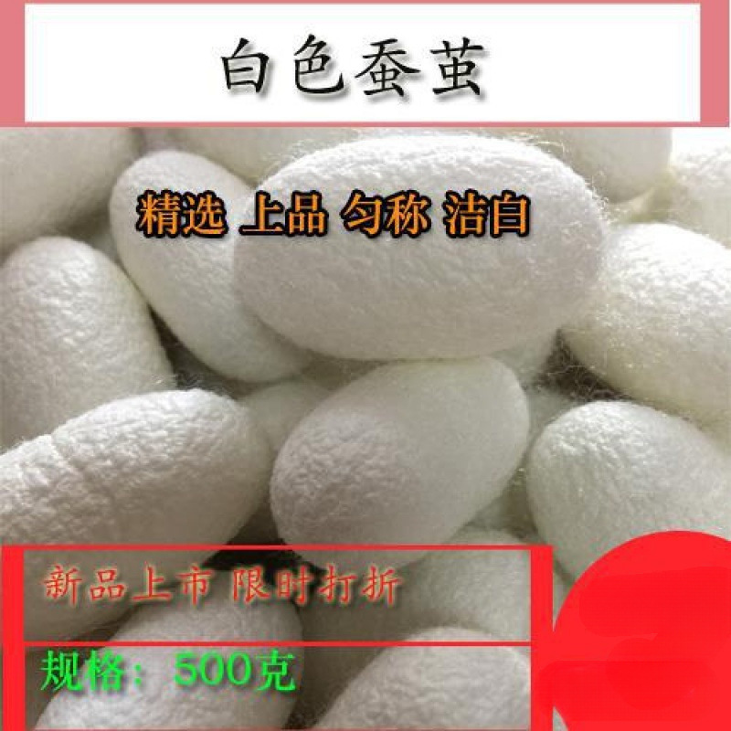 Complete natural beauty silkworm cocoon art worker silkworm cocoon white cocoon colored silkworm cocoon dried cocoon live pupa cocoon clean high quality