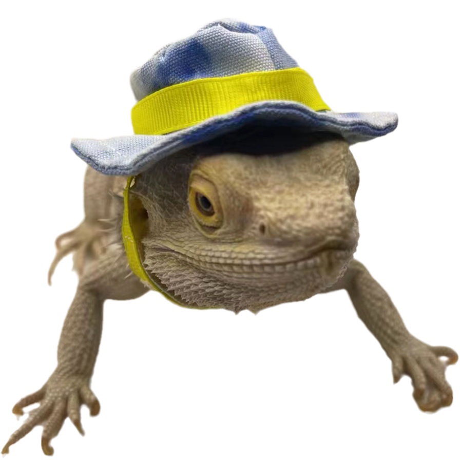 [Small wholesale] Lizard hamster hat saliva towel crawling pet out to change into a walking lizard