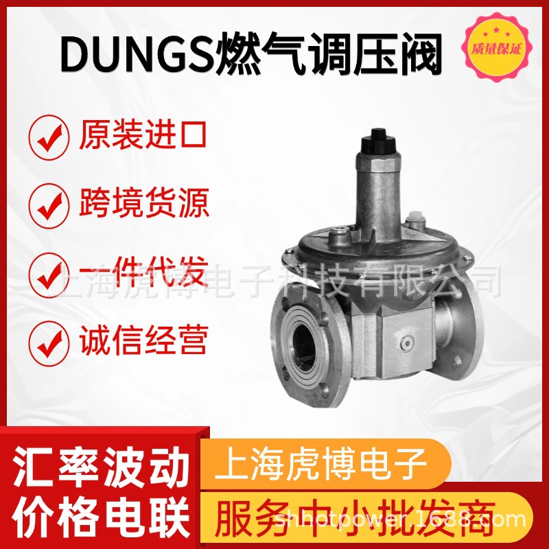 German Original Dungs Burner Pressure Regulating Valve Dropshipping Dungs Gas Pressure Reducing Valve