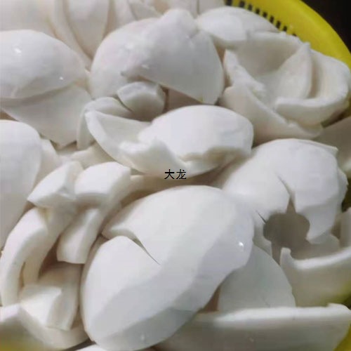 Hainan Old Coconut Refreshing and Cooling Coconut Chicken Old Coconut Meat Fresh Fruit Free Shipping