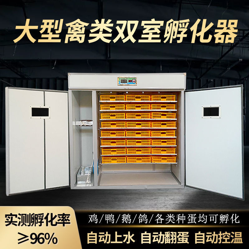 Large and Medium-Sized Incubators for Hatching Chickens, Ducks, Geese, Quails, Pigeons and Peacocks