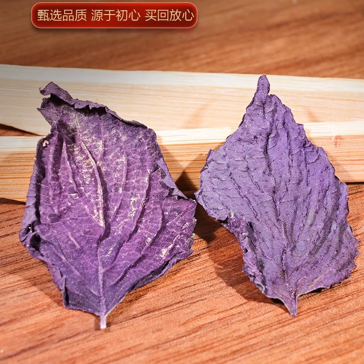 Selected Perilla Leaf Chinese Herbal Medicine 100g Fresh Dried Goods Perilla Leaf Pure Leaf Tea Edible Spice