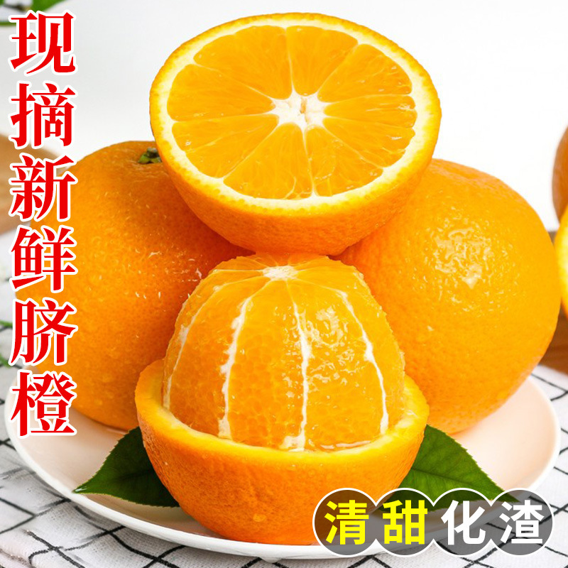 Newhall Three Gorges Early-Maturing Ziguui Navel Oranges, Seasonal Large Fresh Oranges, Hand-Peeled Sweet Oranges, Wholesale and Dropshipping