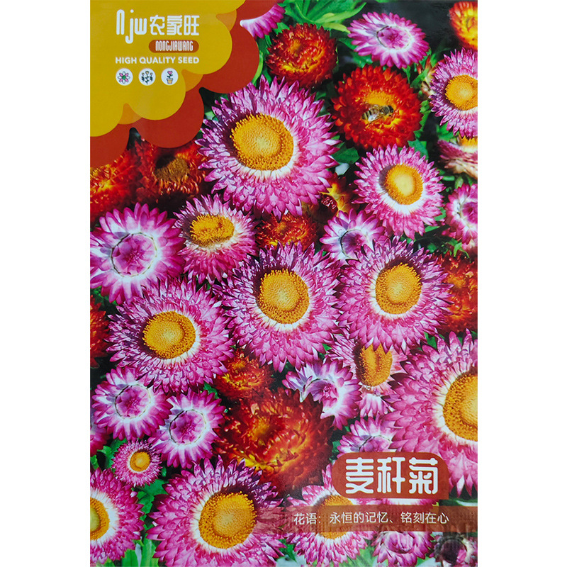 Wheat Straw Chrysanthemum Seeds, Dried Chrysanthemum Seeds, Landscape Greening Potted Plants, Balcony Gardening Cut Flower Viewing Flower Seeds