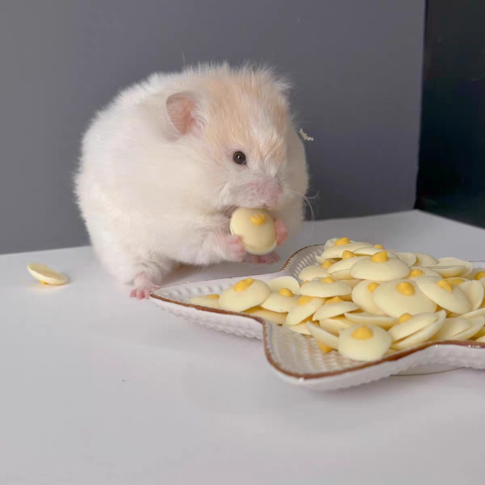 Hamster Snacks, Goat Milk Poached Eggs, Rabbit Snacks, Golden Bears, Universal for Cats and Dogs