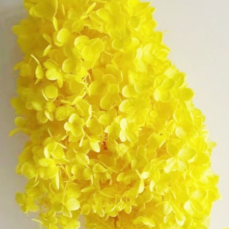 Eternal Flower Class A Wood Hydrangea Flower Head Handmade Material Diy Bag Valentine's Day Gift Box Filler Glass Cover Headwear