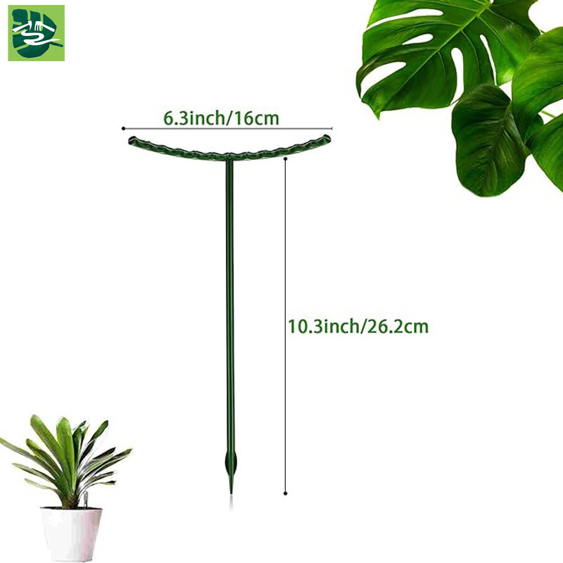 Crab claw orchid bracket fleshy sunflower asparagus orchid lodging prevention special flower stand vine leaf protection support shape