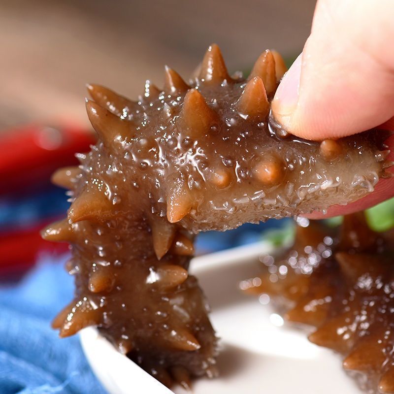 Dried Sea Cucumber Small Sea Cucumber Dried Sea Cucumber Dalian Seafood Dried Goods Small Sea You Buddha's Leap Ingredients Quick-Release Wild