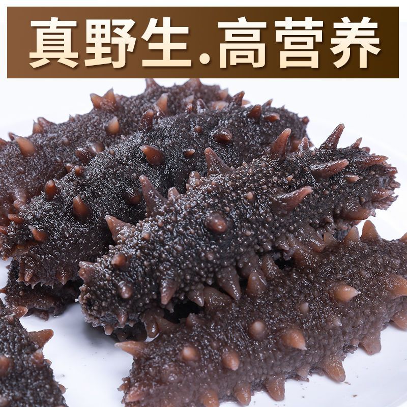 Ready-To-Eat Sea Cucumber, Fresh Wild Dalian Sea Cucumber, Fresh Liaocheng, Ready-To-Eat Non-Mi Thorn Dry Goods, Seafood Single Pack