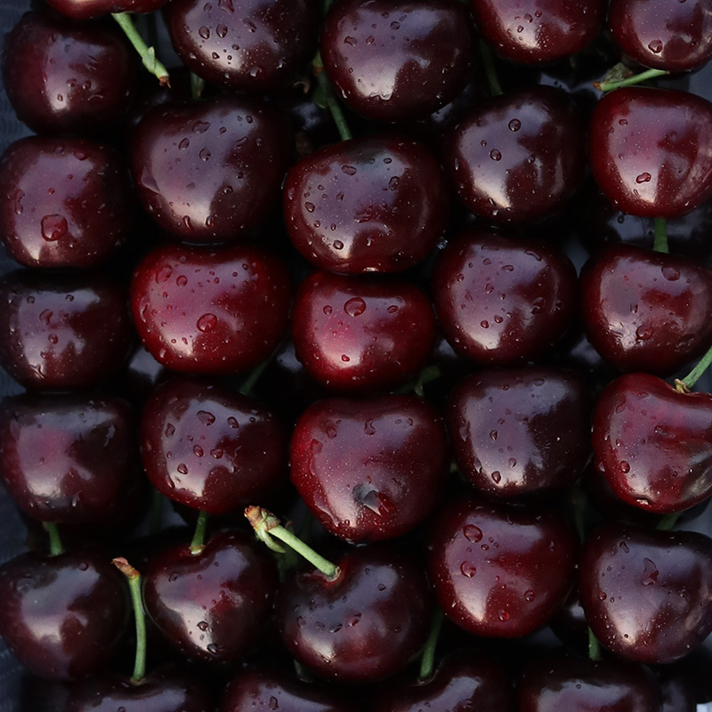 Chilean Cherries Imported Large Fresh Fruit Seasonal Whole Box Sf Free Shipping for Pregnant Women