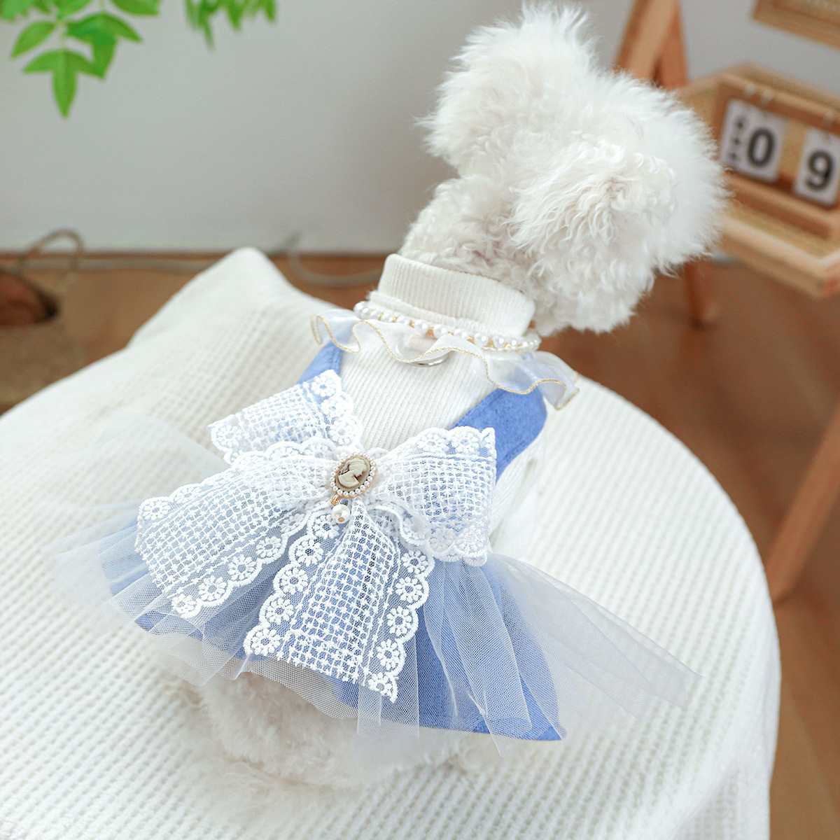 Pet dog autumn and winter similar princess skirt traction buckle pet clothes dog teddy bear cat strap dress
