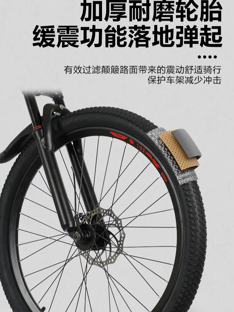 Mountain Bike 26 Inch Mountain Bike Variable Speed Bike Front and Rear Dual Disc Brake Off-Road Vehicle 24 Inch 21 Speed Bike