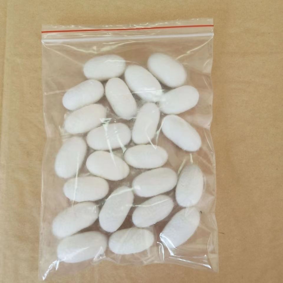 Farmhouse Natural Silkworm Cocoons Are Complete and Can Be Spun into Quilts and Fans. DIY Double Palace Dry Silkworm Cocoons Are Used for Medicinal Beauty and Drying