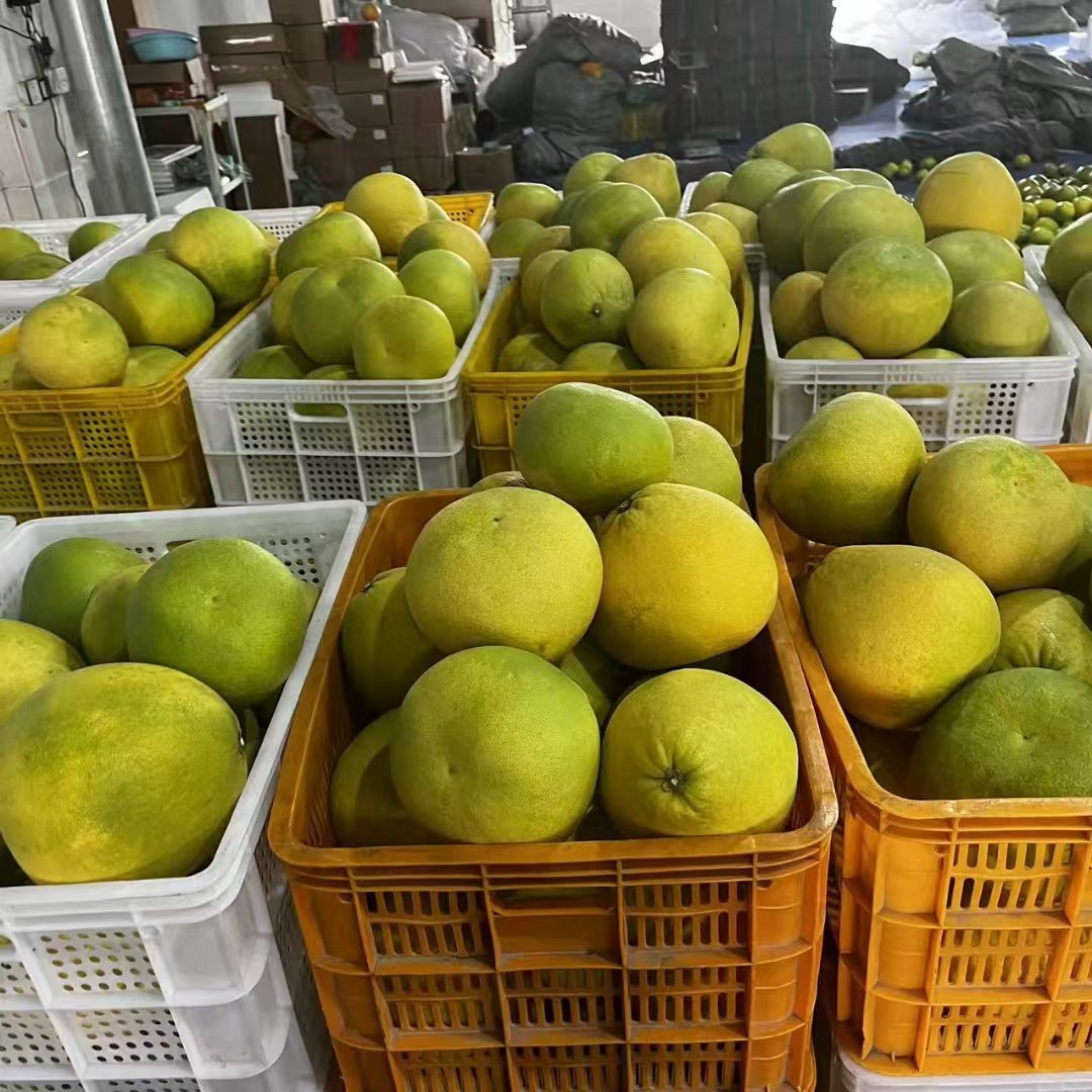 Thailand Hainan Ruby ​​Green Pomelo Red Heart Meat Fresh Fruit Seasonal Honey Pomelo Red Heart Pomelo Green Pomelo Dropshipping