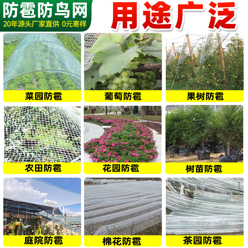 Orchard Farmland Hail Prevention Bird Net Rice Fish Pond Skynet Protection Net Grape Cherry Apple Tree Hail Prevention