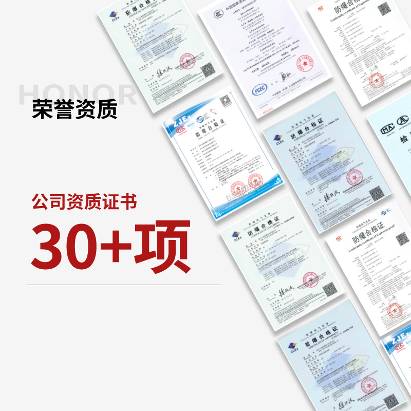 Explosion-Proof Junction Box Distribution Box Dust Gas Stainless Steel Explosion-Proof Switch Control Set Distribution Cabinet Explosion-Proof Box