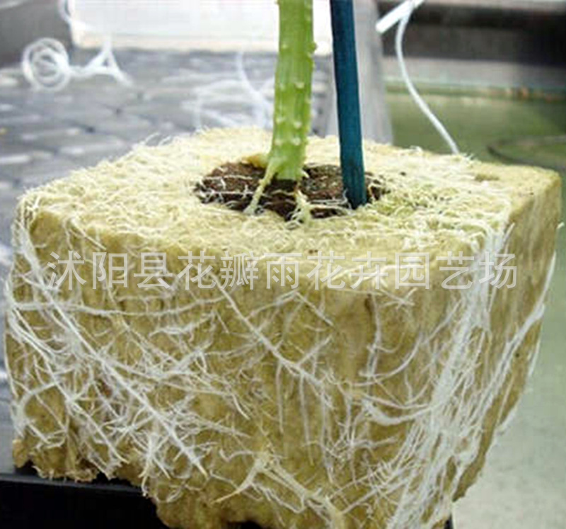 Imported agricultural soilless culture substrate seedling block modern agriculture hydroponics planting rock wool melon and fruit planting