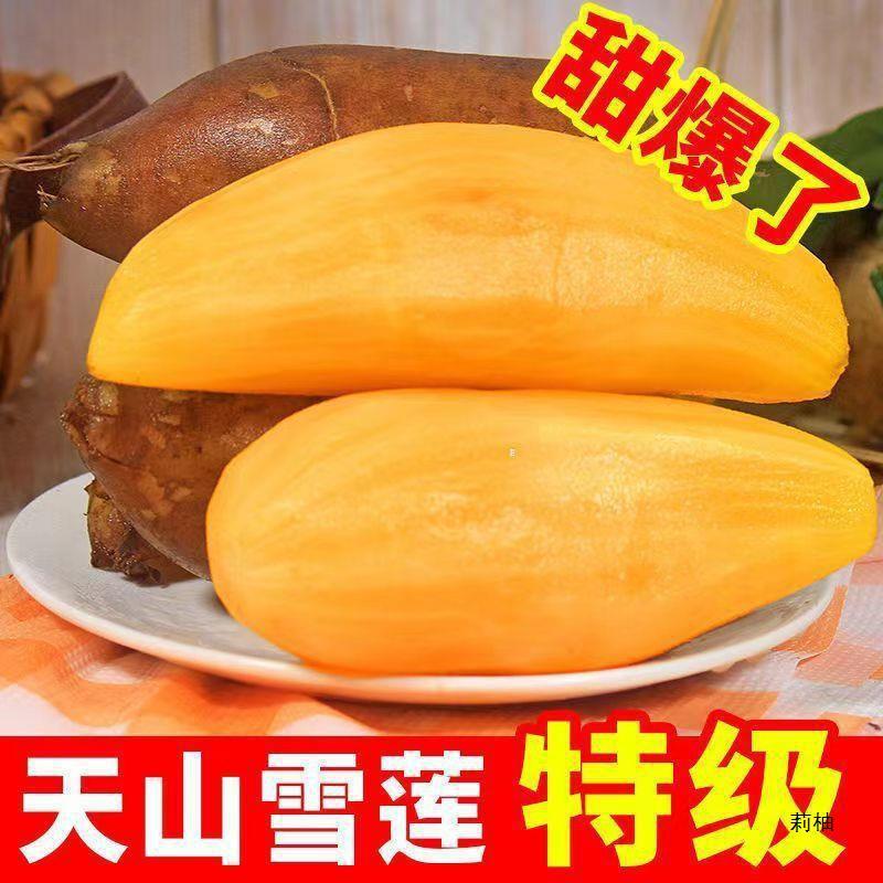 [Тонкий фрукт] Юньнаньский фрукт снежного лотоса Тяньшань свежий фрукт полная коробка красный сердечный для беременных желтый сердечный