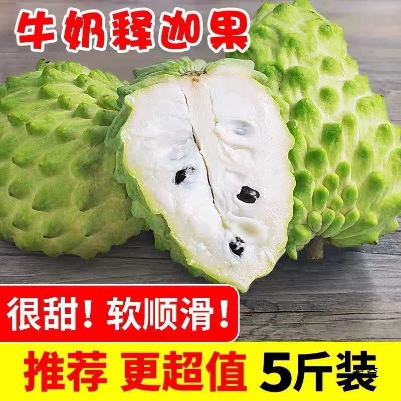 Milk Fresh Custard Apple 2.5kg Seasonal Tropical Fruit Large Fruit Custard Apple Custard Apple Head Fruit 0.5kg Non-Taiwanese Custard Apple