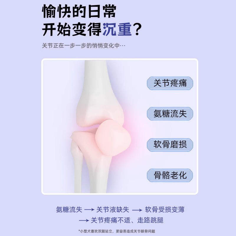 Chondroitin for Dogs and Pets, Joint Treasure for Scottish Fold Cats, Strong Bones, Shark Chondroitin for Teddy Golden Retrievers