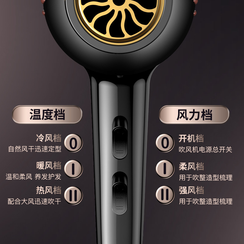 Hair Dryer Household Hot and Cold Air Blue Light Negative Ion Hair Care Hair Dryer Hair Salon Special High-Power Quick-Drying Hair Dryer