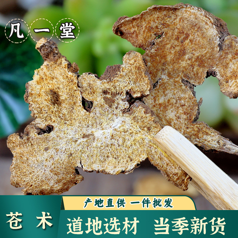 [Фанйитан] Актрактилодес, аутентичный выбор материалов, срезы актрактилодеса макроцефала, сырьё для чая из актрактилодеса, порошок малой белой актрактилодеса